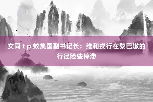 女同 t p 蚁集国副书记长：维和戎行在黎巴嫩的行径险些停滞