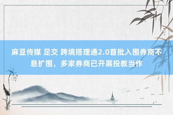 麻豆传媒 足交 跨境搭理通2.0首批入围券商不息扩围,多家券商已开展投教当作