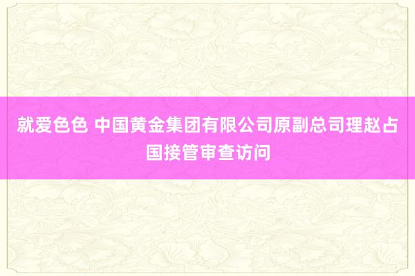 就爱色色 中国黄金集团有限公司原副总司理赵占国接管审查访问