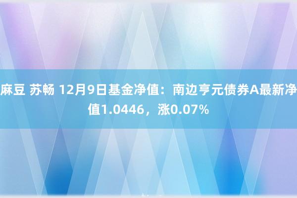 麻豆 苏畅 12月9日基金净值：南边亨元债券A最新净值1.0446，涨0.07%