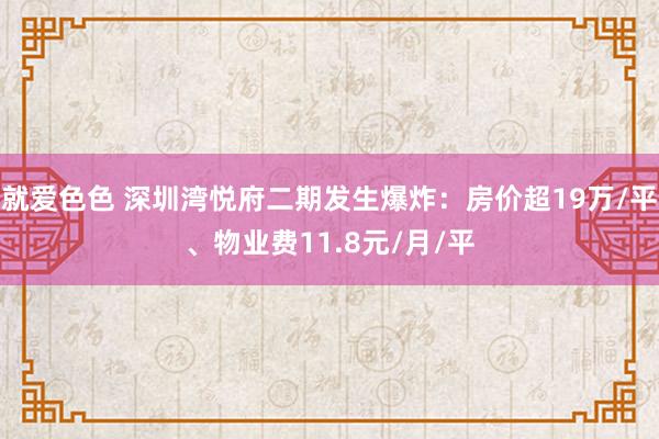 就爱色色 深圳湾悦府二期发生爆炸：房价超19万/平、物业费11.8元/月/平