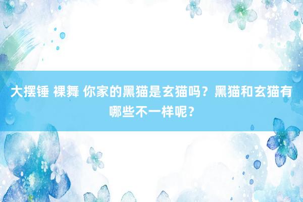 大摆锤 裸舞 你家的黑猫是玄猫吗？黑猫和玄猫有哪些不一样呢？