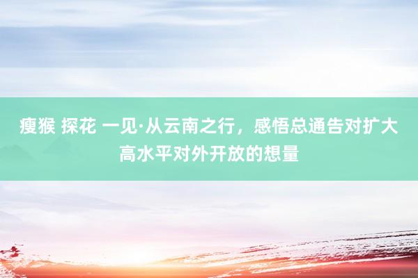 瘦猴 探花 一见·从云南之行，感悟总通告对扩大高水平对外开放的想量