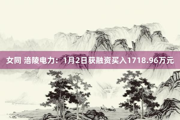 女同 涪陵电力：1月2日获融资买入1718.96万元