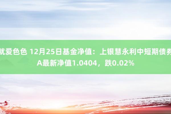 就爱色色 12月25日基金净值：上银慧永利中短期债券A最新净值1.0404，跌0.02%