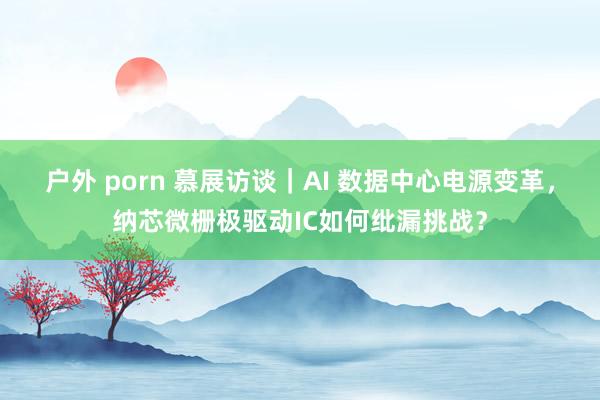 户外 porn 慕展访谈｜AI 数据中心电源变革，纳芯微栅极驱动IC如何纰漏挑战？