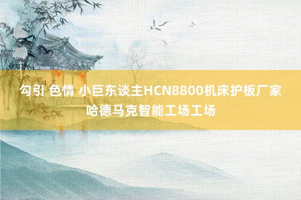 勾引 色情 小巨东谈主HCN8800机床护板厂家哈德马克智能工场工场