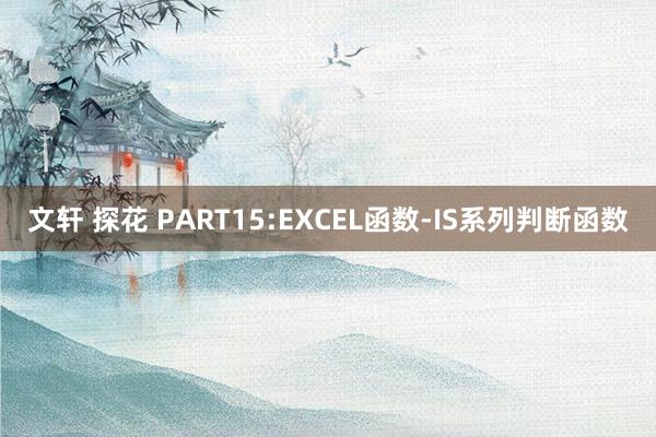 文轩 探花 PART15:EXCEL函数-IS系列判断函数